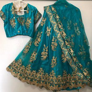 Brand New Net lehenga choli
